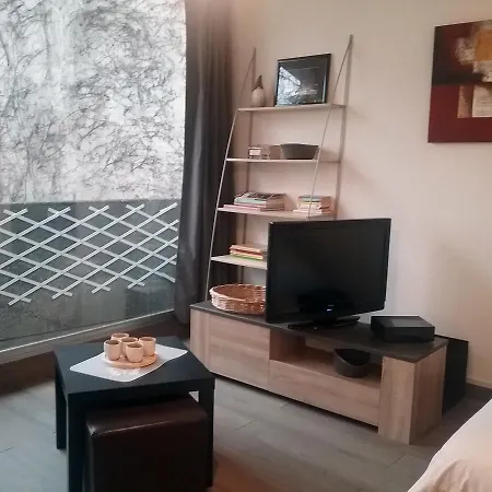 Le Victoria I -mon Desert Village -24m2 Apartment Nancy